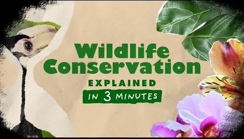 Green Point Reserve Designated Community Land for Conservation Efforts