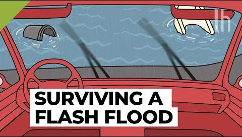 Flash Flooding Hits Lake Macquarie: Residents Urged to Stay Safe