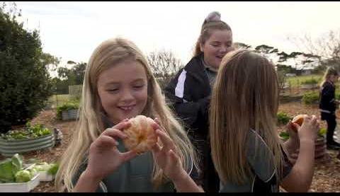 Lake Macquarie Council Delays Funding Policy Amid Community Concerns